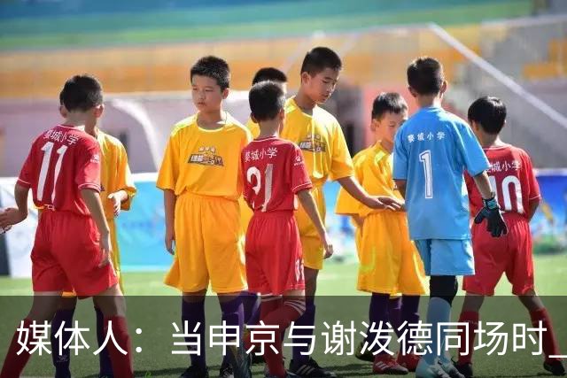 媒体人：当申京与谢泼德同场时 火箭的挡拆防守会被对手无情摧毁
